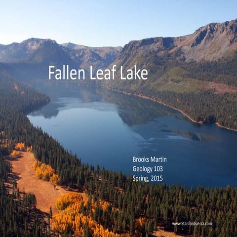 Fallen leaf lake | PPT