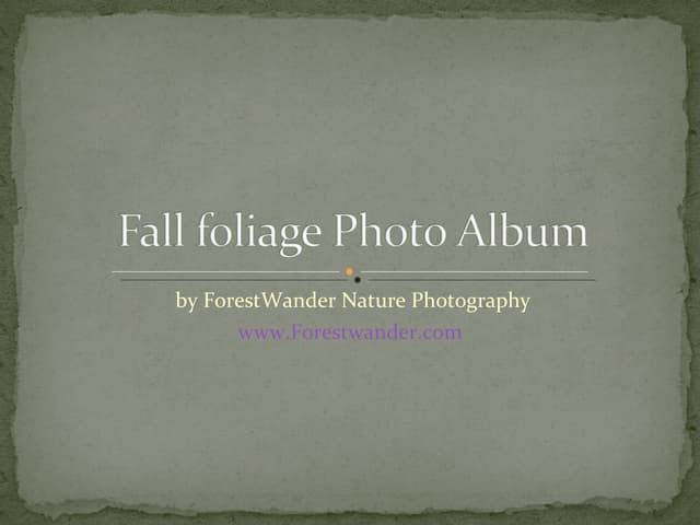 Fall Foliage Photo Album