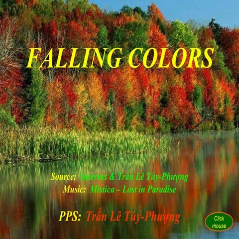Falling colors - Tran Le Tuy Phuong