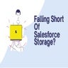 Falling Short Of Salesforce Storage?.pdf