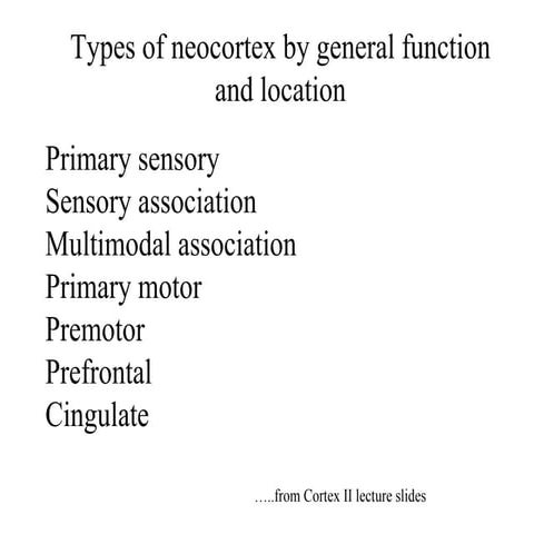Fallon Higher Cereb Funct I Ii Iii  2007