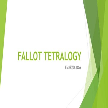 Fallot tetralogy and Ventricular septal defect - EMBRYOLOGY