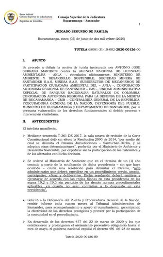 Fallo tutela Delimitación de Santurbán