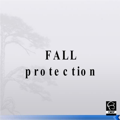 Fall Prevention