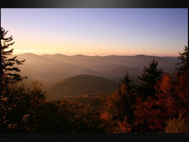 Fall+Skies+Tree+Foliage+Pictures
