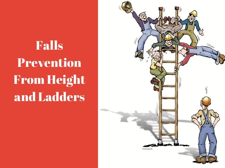 Falls Prevention From Height and Ladders