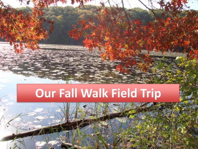 Fall Walk 2011