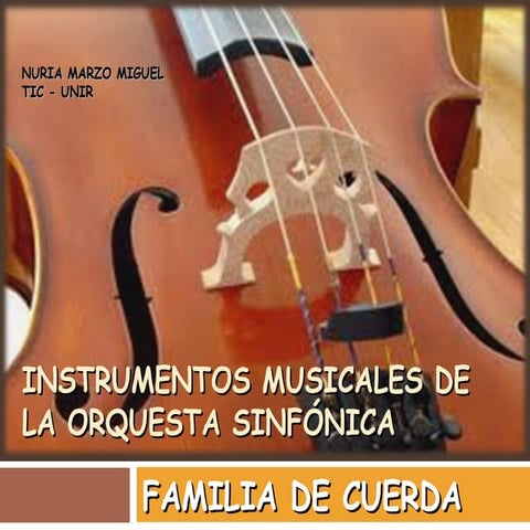 Instrumentos musicales de la orquesta.Familia cuerda