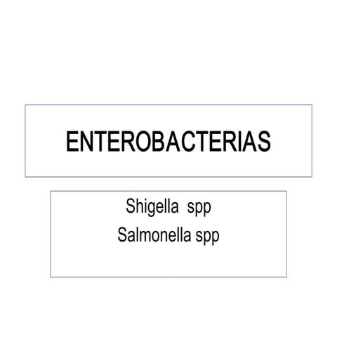 Familia Enterobacteriaceae Salmonella Shigella