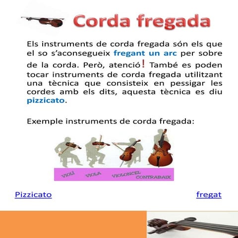 Familia instruments de corda