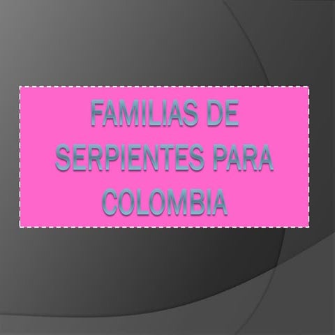 Familias de serpientes para colombia