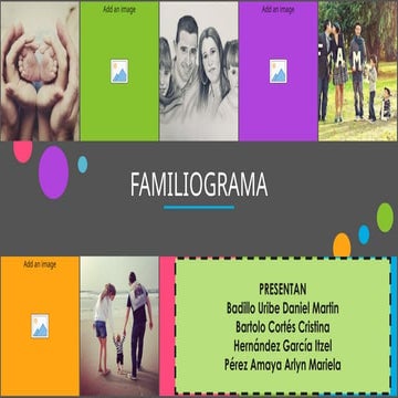 MAPA FAMILIAR.pptx conceptos y funciones | PPTX