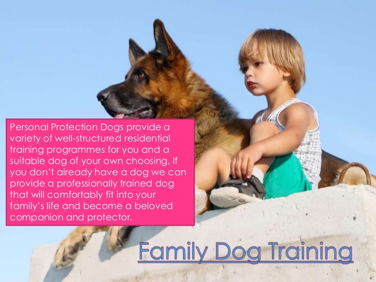 personal protection dog training
