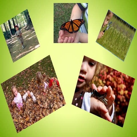 Naturalist Intelligence through integrated curriculum and constructivist base...