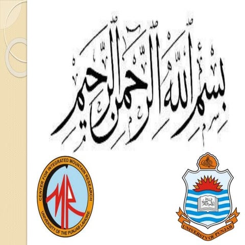 Family of cylindrical map projection