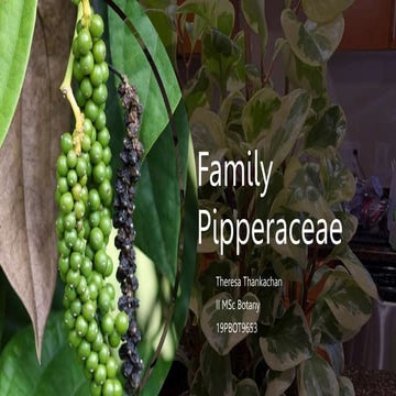 artificial plants indoor large 55