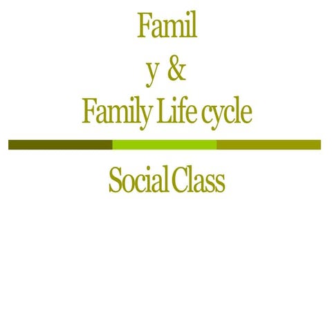 family social class life cycle-.pptx