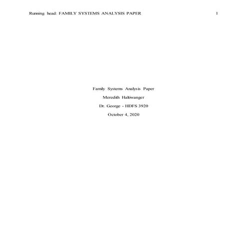 Family Systems Analysis Paper | DOCX