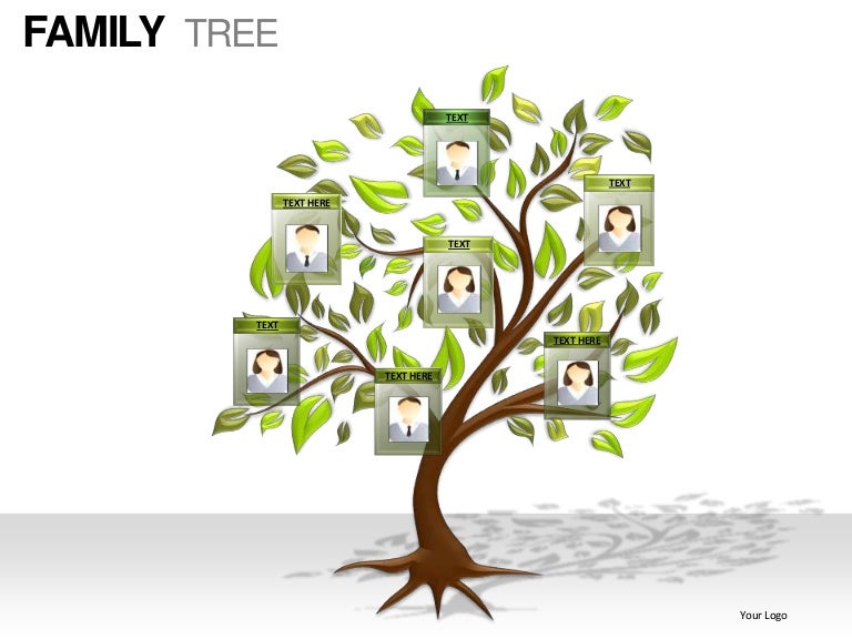 family tree powerpoint presentation templates family tree web templates