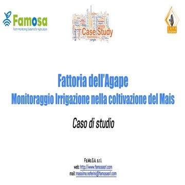 Famosa - Irrigazione del Mais - Caso di Studio