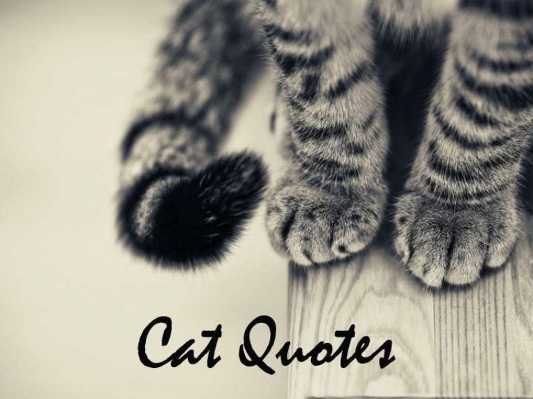 Famous cat quotes