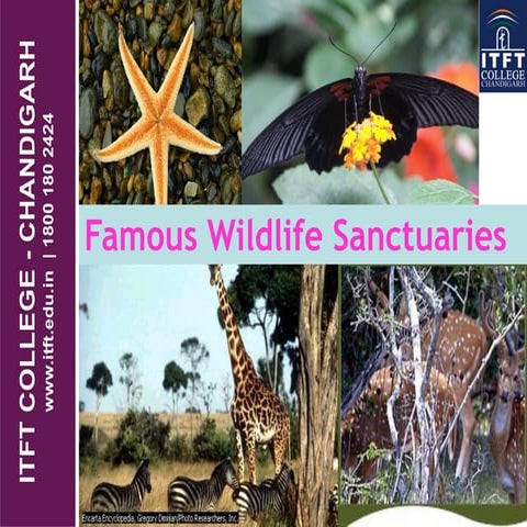ITFT - Famous wild life sancturies