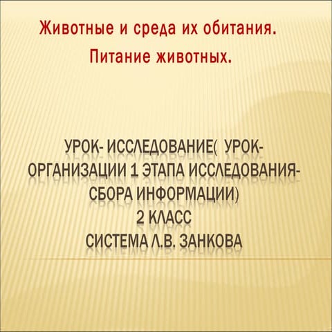 Презентация на тему: Животные и среда их обитания. Питание животных