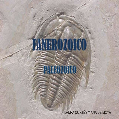 Paleozoico (II)