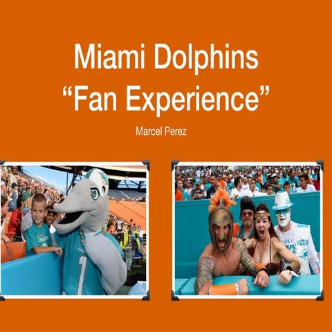 Public Relations: Miami Dolphins Fan Experience (DEMO)