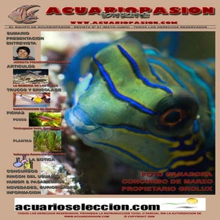 Fanzine Acuariopasion 1