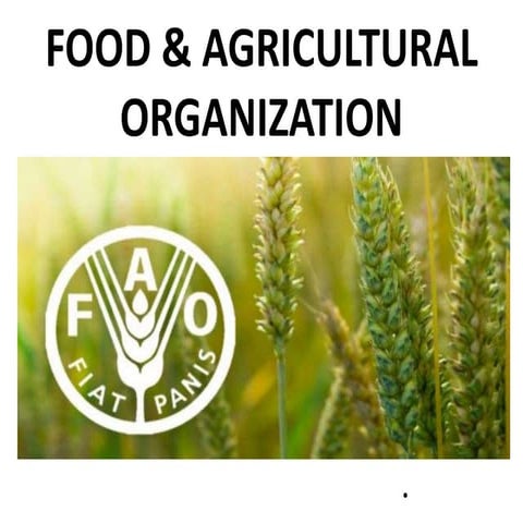 fao-171220092952.pptx community health nursing | PPTX