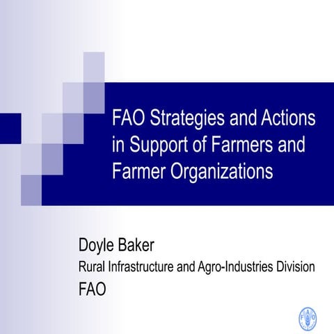 FAO Strategies and Actions in Support of Farmers and Farmer Organizations
