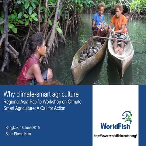 Why climate-smart agriculture?