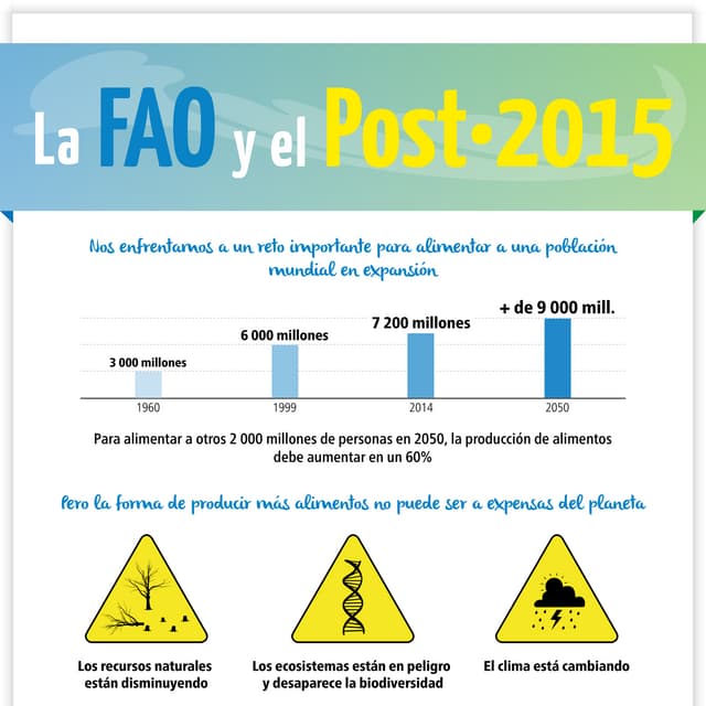 Fao infographic-post2015-es