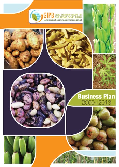 Fao Business Plan Web