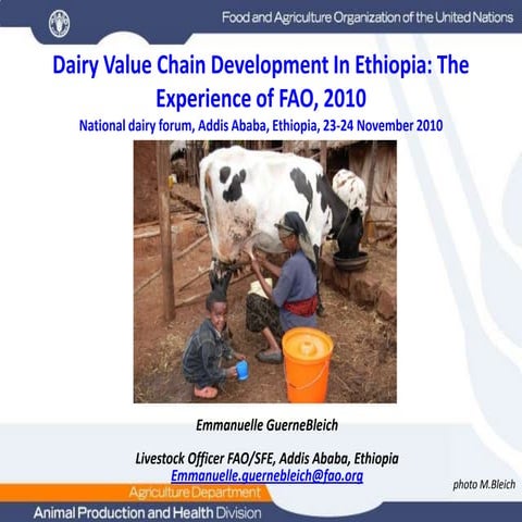 Dairy Value Chain Development In Ethiopia: The Experience of FAO