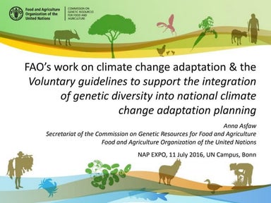 FAO’s work on climate change adaptation & the Voluntary guidelines to support...