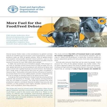More fuel for the food-feed debate (FAO , 2022)