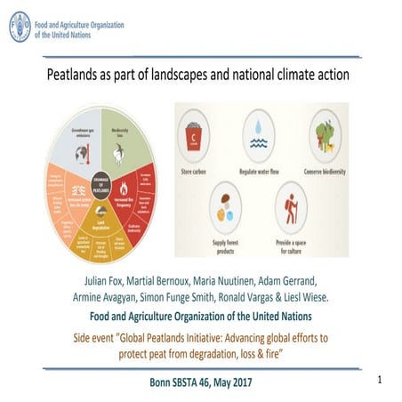 Peatlands as part of landscapes and national climate action