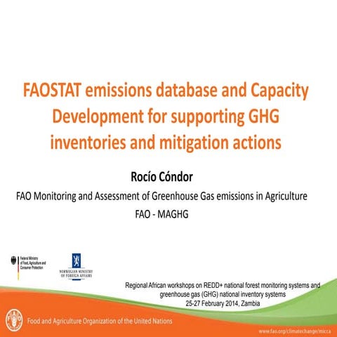 FAOSTAT emissions database and Capacity Development for supporting GHG invent...