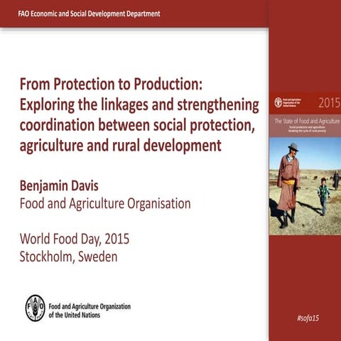 From Protection to Production: Exploring the linkages and strengthening coor...