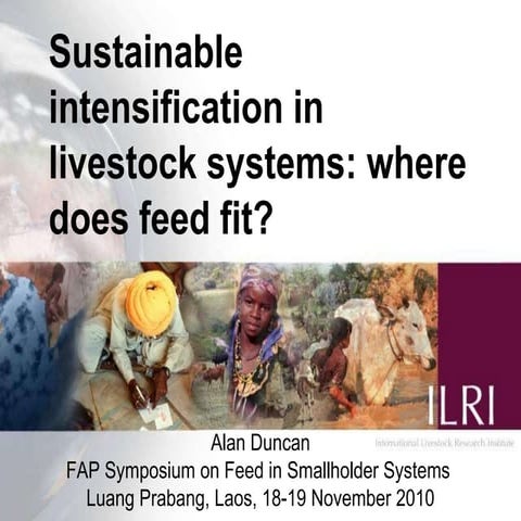 Sustainable intensification in livestock systems: where does feed fit?