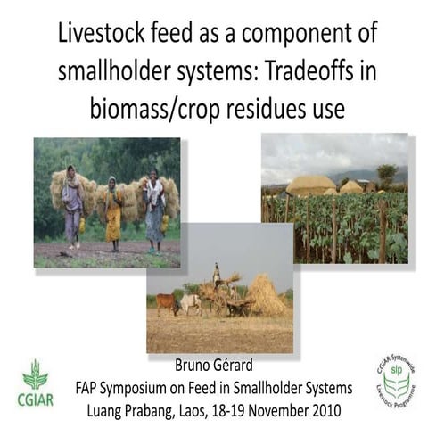 Livestock feed as a component of smallholder systems: Tradeoffs in biomass/cr...