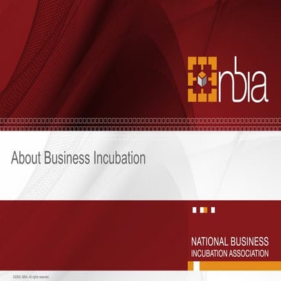 Incubator/Accelerator Faq 2010