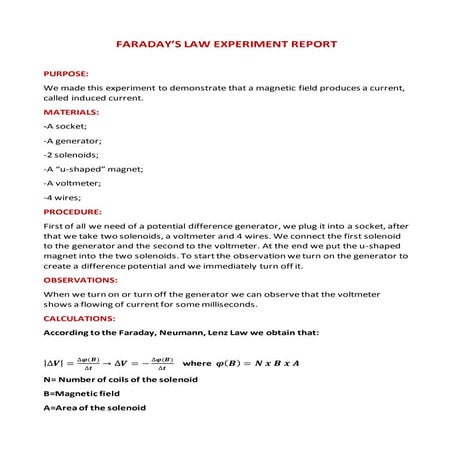 faradays experiment report (1).docx
