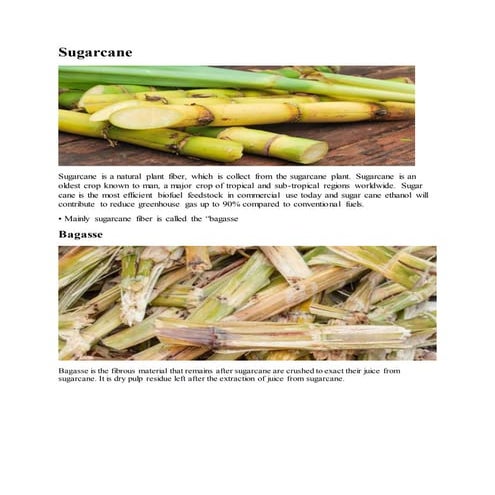 Extraction of sugarcane fibers