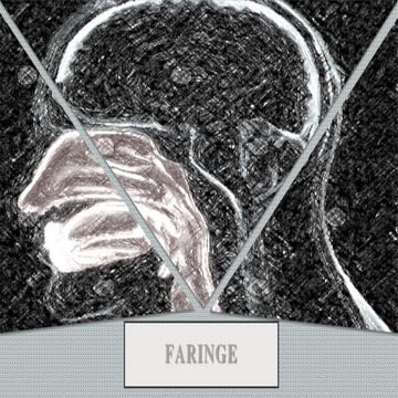 Faringe.pptx