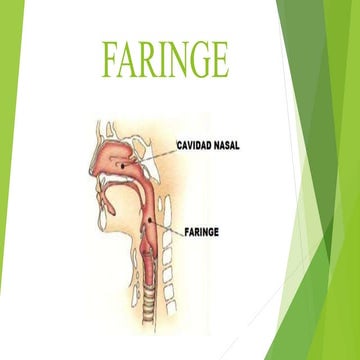 FARINGE DIAPOSITIVAS.pptx