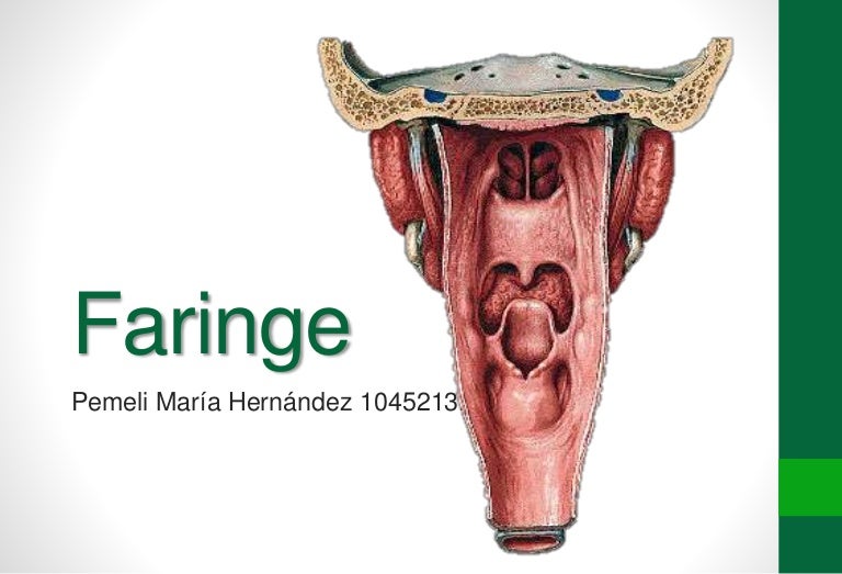 Faringe