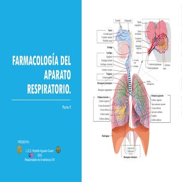 FARMACOLOGIA - GRUPOS FARMACOLOGICOS.... | PDF